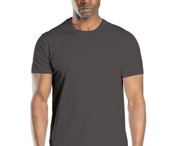 Regular Basic Bisiklet Yaka T-Shirt Antrasit